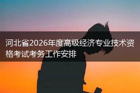 河北省2026年度高级经济专业技术资格考试考务工作安排