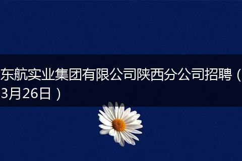 东航实业集团有限公司陕西分公司招聘（3月26日）