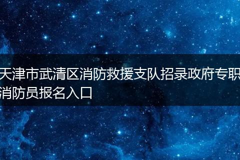 天津市武清区消防救援支队招录政府专职消防员报名入口