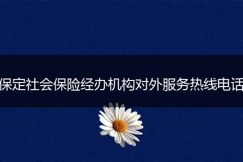 保定社会保险经办机构对外服务热线电话