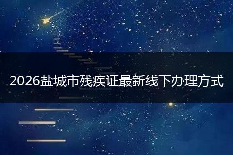 2026盐城市残疾证最新线下办理方式