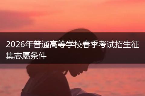 2026年普通高等学校春季考试招生征集志愿条件
