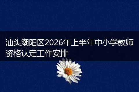 汕头潮阳区2026年上半年中小学教师资格认定工作安排