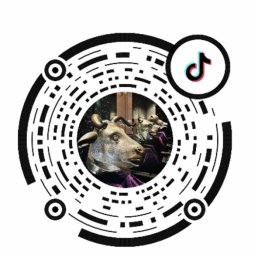 隋唐大运河文化博物馆牡丹节有什么特展?