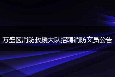 万盛区消防救援大队招聘消防文员公告