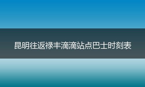昆明往返禄丰滴滴站点巴士时刻表