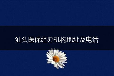 汕头医保经办机构地址及电话