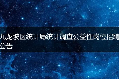 九龙坡区统计局统计调查公益性岗位招聘公告