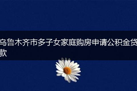 乌鲁木齐市多子女家庭购房申请公积金贷款