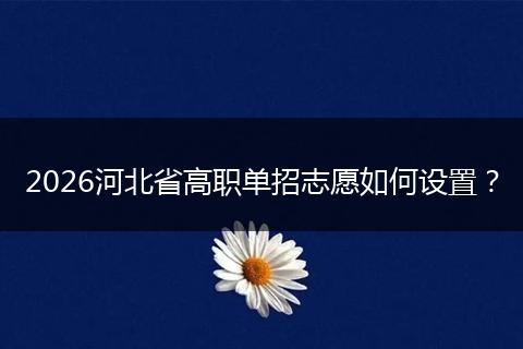 2026河北省高职单招志愿如何设置？