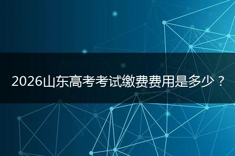 2026山东高考考试缴费费用是多少？