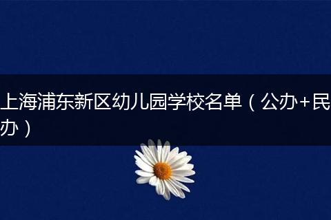 上海浦东新区幼儿园学校名单（公办+民办）