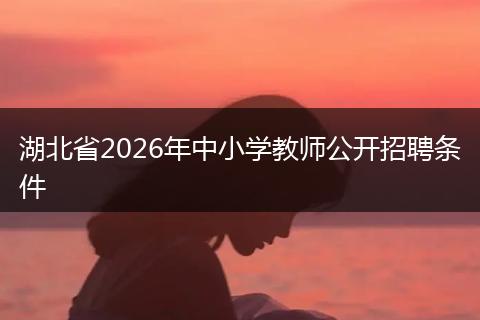 湖北省2026年中小学教师公开招聘条件