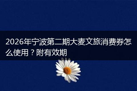 2026年宁波第二期大麦文旅消费券怎么使用？附有效期
