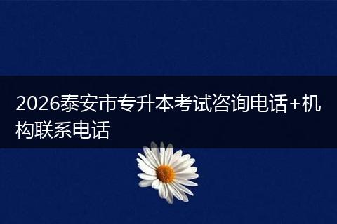 2026泰安市专升本考试咨询电话+机构联系电话