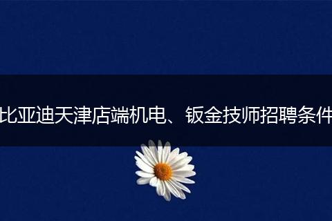 比亚迪天津店端机电、钣金技师招聘条件