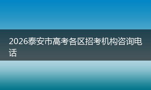 2026泰安市高考各区招考机构咨询电话