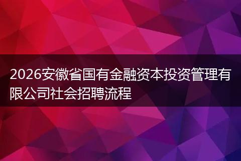 2026安徽省国有金融资本投资管理有限公司社会招聘流程