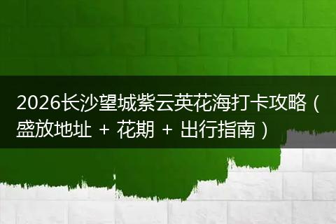 2026长沙望城紫云英花海打卡攻略（盛放地址 + 花期 + 出行指南）