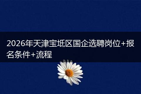 2026年天津宝坻区国企选聘岗位+报名条件+流程