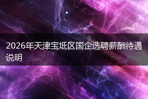 2026年天津宝坻区国企选聘薪酬待遇说明