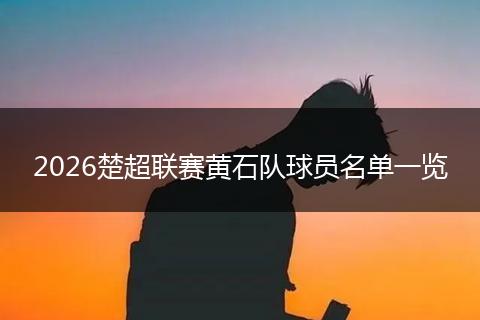 2026楚超联赛黄石队球员名单一览