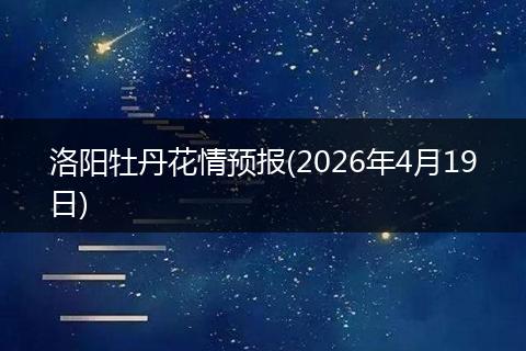 洛阳牡丹花情预报(2026年4月19日)