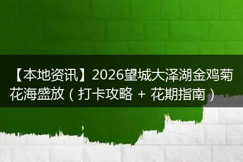 【本地资讯】2026望城大泽湖金鸡菊花海盛放(打卡攻略 + 花期指南)