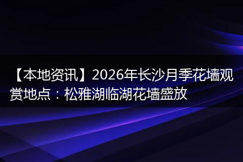 【本地资讯】2026年长沙月季花墙观赏地点:松雅湖临湖花墙盛放